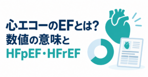 心エコーのEFとHFpEF・HFrEFを解説するタイトル、心臓のシンボル、割合を表す円グラフ、検査結果票